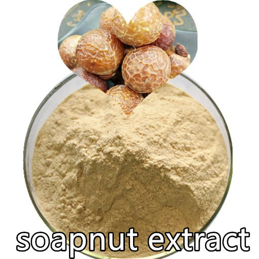 Soapnut extract