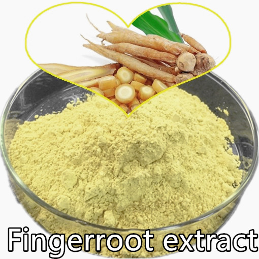 Finger root extract
