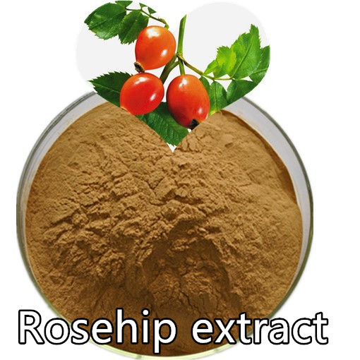 Rosehip extract