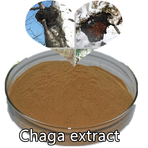 Chaga extract